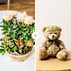 Coin de paradis et ourson - Paradise and teddy bear Online