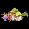 Colour splendor Online
