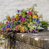 Colour splendor Online