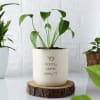 Buy Cool And Punny Ceramic Planter - Without Plant