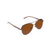 Gift Cool Brown Aviator Sunglasses