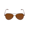 Cool Brown Aviator Sunglasses Online
