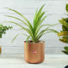 Copper Finish Planter without Plant - Customized with Logo Online