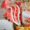 Gift Coral Radiance