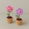 Crochet Blooms Mini Rose And Daisy Set Of 2 Online