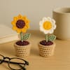 Gift Crochet Blooms Mini Sunflower And Daisy Set Of 2