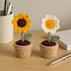 Crochet Blooms Mini Sunflower And Daisy Set Of 2 Online