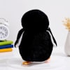 Buy Cuddle Buddy Black And White Penguin Plushie