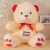 Cuddly Teddy Bear Soft Toy Online