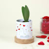 Buy Cute Hoya Heart Plant with Personalized Vase