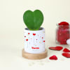Cute Hoya Heart Plant with Personalized Vase Online