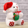 Gift Cute Santa Teddy