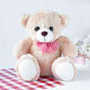 Cute Teddy (12-Inch) Online