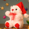 Gift Cute Teddy with a Santa Cap