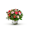 Delight Online