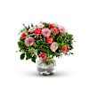 Delight Online