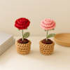 Delightful Crochet Rose Pot Duo Online