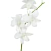 Dendrobium Galaxy White (Bunch of 20) Online