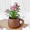 Gift Dianthus Flower Plant in Ceramic Planter with Handle