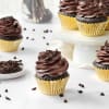 Divine Chocolate Cupcakes (Box of 6) Online
