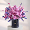 Dreaming of Lilac Online