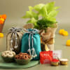 Dry Fruits In Potlis With Money Plant For Bhai Dooj Online