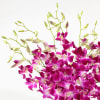 Shop Enchanting Purple Orchid Arrangement