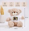 Shop Endless Love Personalized Anniversary Teddy