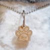 Engraved Paw Shaped Pet Tag Online