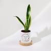 Eternal Evergreen - Snake Plant With Pot - Personalized Online