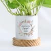 Buy Eternity Bloom - Money Plant With Pot - Personalized