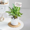 Buy Evergreen Bonds