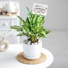Shop Evergreen Bonds
