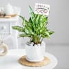 Evergreen Bonds Online