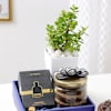 Shop Everlasting Delight Father's Day Hamper