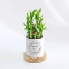 Gift Everlasting Love - 2-Layer Bamboo Plant With Pot - Personalized