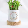 Buy Everlasting Love - 2-Layer Bamboo Plant With Pot - Personalized