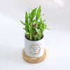Shop Everlasting Love - 2-Layer Bamboo Plant With Pot - Personalized