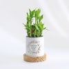 Everlasting Love - 2-Layer Bamboo Plant With Pot - Personalized Online