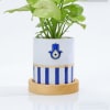 Buy Evil Eye Bhai Bhabi Rakhi And Syngonium Plant Combo