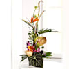 Exotic Luxury Online