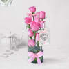 Exotic Pin Roses in Tube Vase for Mom Online