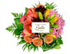 Exotica Online