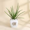 Gift Father's Day Best Dad Ever Aloe Vera Plant