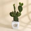 Father's Day Best Dad Ever Rabbit Cactus Plant Online