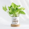 Father's Day Best Papaji Ever Money Plant With Pot Online
