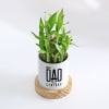 Gift Father's Day Dad Of The Century Bamboo Plant With Pot