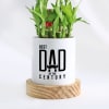 Buy Father's Day Dad Of The Century Bamboo Plant With Pot