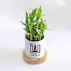 Gift Father's Day Dad Of The Century Bamboo Plant With Pot
