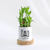 Father's Day Dad Of The Century Bamboo Plant With Pot Online